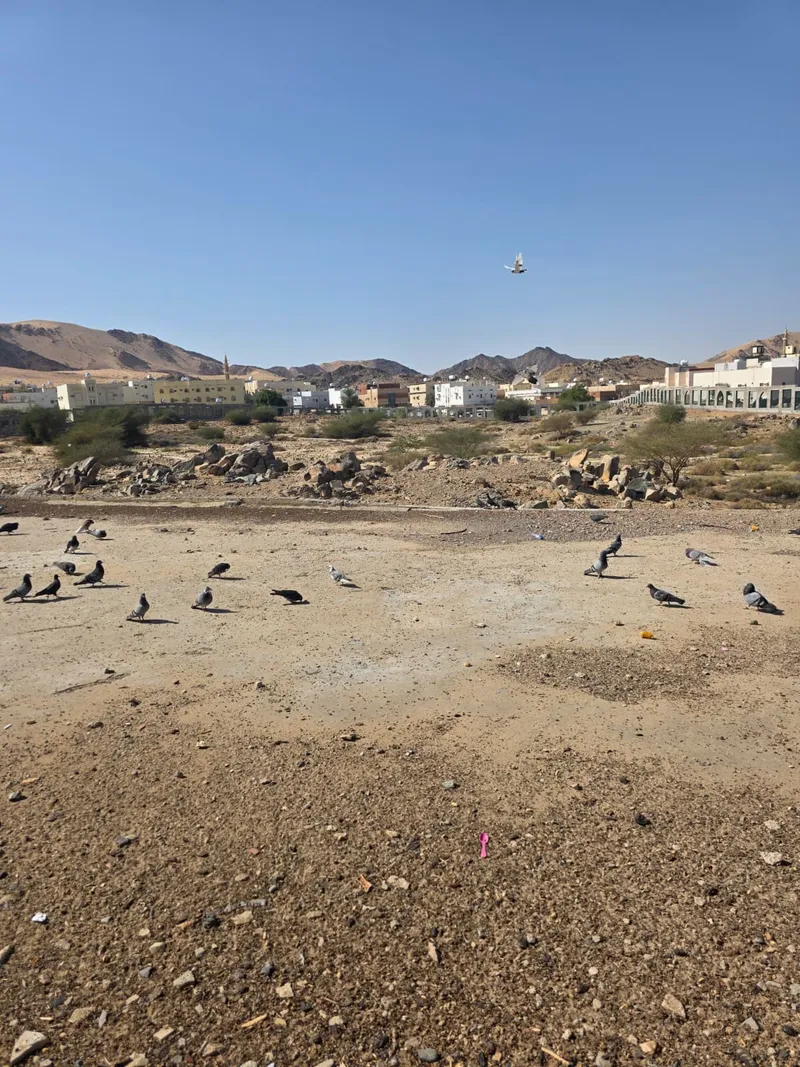 Umrah journey photo 1